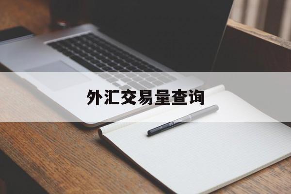 外汇交易量查询(外汇交易量怎么看)