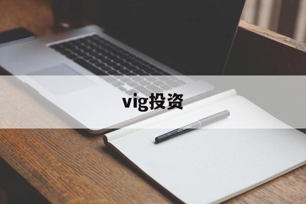 vig投资(vigilant)